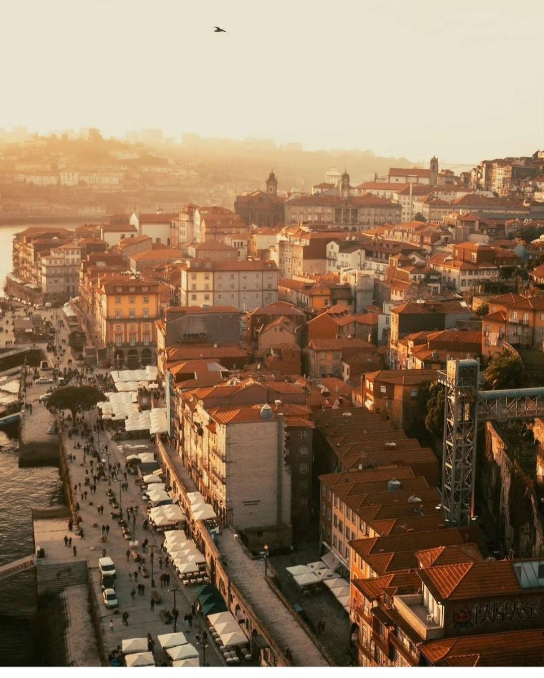 Amazing Studio Douro River Views Porto Ngoại thất bức ảnh