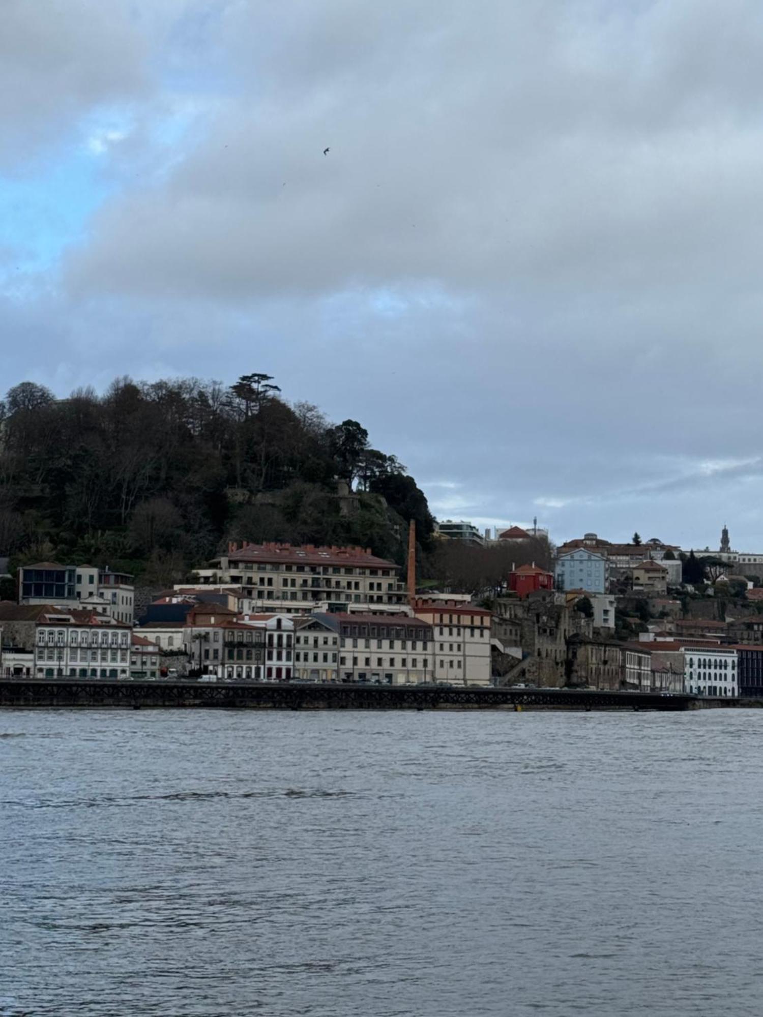 Amazing Studio Douro River Views Porto Ngoại thất bức ảnh